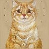 Etui Nimmy Lucky Fashion Cat MagSafe do iPhone 17 Pro brązowy